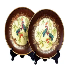 Pair of 10 Inch Diameter Parrot Decorative Plates Multicolor