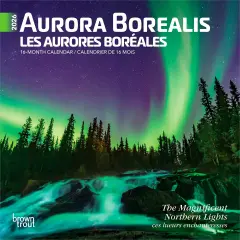 Aurora Borealis | 2026 7 x 14 Inch (Hanging) Monthly Mini Wall Calendar | English/French Bilingual