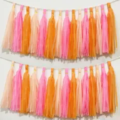 Pink Orange Peach Tissue Paper Tassels Party Tassel Garland Banner for Pumpkin Birthday Baby Bridal Shower Groovy Party Decoration, DIY Kits,15PCS