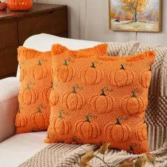 Set of 2 Fall Pumpkin Throw Pillow Covers 18x18inch