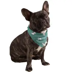 Mechaly Cotton Funny Dog Bandana with Designs Durable Birthday Pet Scarf