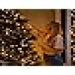 Waterproof Christmas Lights Outdoor for Holiday Party Christmas Tree Decor