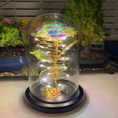 Light Up Rose in A Glass Birthday Gift for Woman Mothers Day Flowers Gift for Mom Rose Flower Gift for Her Anniversary Gift Preserved Flowers