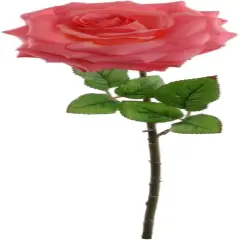 Radiant Splendor: 20" Fuchsia Open Rose 6" Diameter - Exquisite Floral Elegance for Captivating Decor, Floral Home by Artificial Flowers