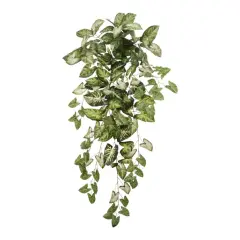 2PC Hanging Nephtytis Bush - 36" Lifelike Silk Leaves, Indoor Decor