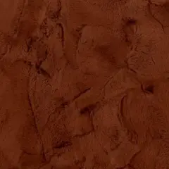 Red Autumn Luxe Cuddle Mirage 80" Fabric per yard