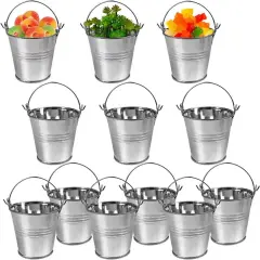 12 Pack Mini Metal Buckets