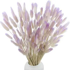 120 Pcs Dried Bunny Tails Flower Natural Lagurus Ovatus Dried Flowers Rabbit Tail Grass Dried Pampas Grass Dried Floral Arrangement for Boho Decor Wedding Party Home DIY Farmhouse Table Purple