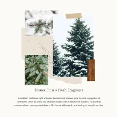 Frasier Fir Pine Needle Votive Candle - Scented Candle with Notes of Siberian Fir, Cedarwood, and Sandalwood - Holiday Candle with a Luxury Home Fragrance (2 oz)