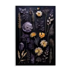Stupell Industries Flower Specimens on Black Wall Plaque Design By Heidi Kuntz