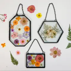 Framed Pressed Flowers Kit