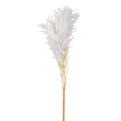 Eucalyptus Exotica Flower