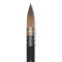 Princeton Aqua Elite Series 4850 Synthetic Brush - Quill, Size 6, Short Handle