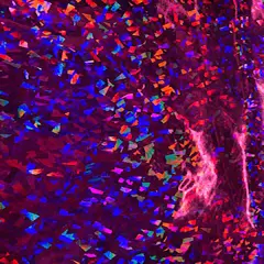 1 Yard Vinyl Broken Glass Hologram Stretch Spandex Fabric Dancewear Activewear Cosplay 56" Width Fuchsia