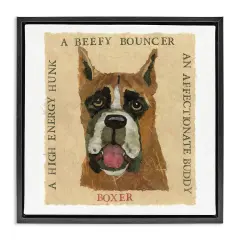 Stupell Industries Fun Boxer Pet Phrases Framed Floater Canvas Wall Art Design by Nancy Overton
