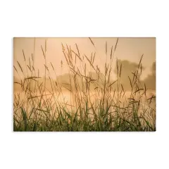 Stupell Industries Grassy Country Reeds Canvas Wall Art Design by Marty Hulsebos