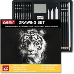 Charcoal Pencils for Drawing, Set of 22