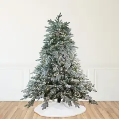 Northlight 9' Pre-Lit Full Frosted Butte Fir Artificial Christmas Tree - Clear Lights Green