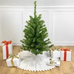 Northlight 3' Pre-Lit LED Medium Canadian Pine Artificial Christmas Tree - Multicolor Lights Green