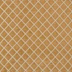 Saxon Upholstery & Drapery Fabric Honey