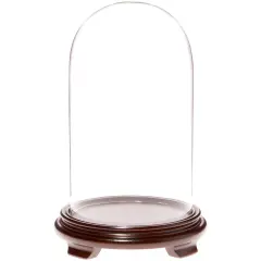 Plymor 5.5" x 10" Glass Display Dome Cloche Walnut Wood Veneer