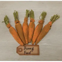 Set of 6 Bunny Food Carrots with Fabric and Dried Greenery for Decoration