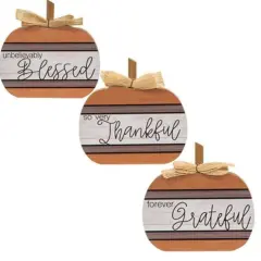 Wood Chunky Pumpkin Decor with Jute Bow, Fall Quotes 3 Asstd.