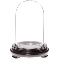 Plymor 3" x 5" Glass Display Dome Cloche Black Wood Veneer