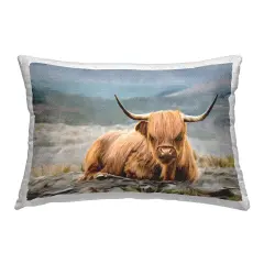 Windswept Highland Cow Design by Kim Allen Outdoor Printed Pillow 