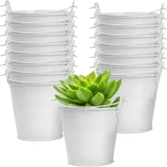 16 Pcs White Mini Buckets