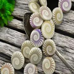 *8* 17mm Matte Ivory Sliperit Laser Etched Spiral Coin Beads