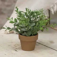 Gatehouse Herb Terra Cotta Pot 6"