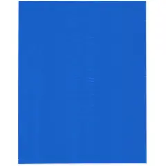 Plymor 12" x 15", Blue 2 Mil Flat Open Plastic Poly Bags