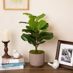 Northlight Two-Tone Fiddle Leaf Fig Artificial Potted Plant - 26" - Green