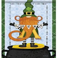 St Patricks Gnome Garden Flag 2 Sided
