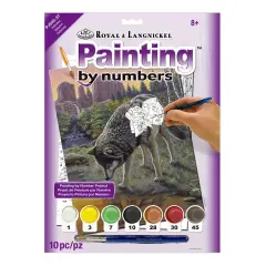 PJS85 | Painting by numbers&trade; 10pc 8.75" x 11.375" Reflections Painting Project