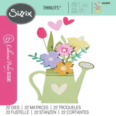 Sizzix Thinlits Dies By Catherine Pooler 22/Pkg-Sprinkled With Love