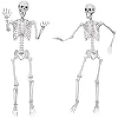 Movable Joint for Halloween Outdoor Indoor Decorations