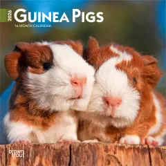 Guinea Pigs | 2026 7 x 14 Inch (Hanging) Monthly Mini Wall Calendar