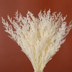 Dried Flowers Bouquet, Dry Caspia Flower Bundle, Floral Lavender, Babys Breath Flowers Arrangements for Wedding Decor, Door Wreath, Home Party Table Vase Decoration (White, 17'')