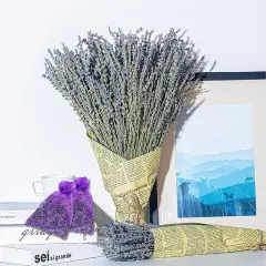 Dried Lavender Bundles | Natural Dried Lavender Flowers 2 Bundles Pack 200 Stems Home Fragrance Dry Lavender for Home & Wedding Decoration, Photo Props