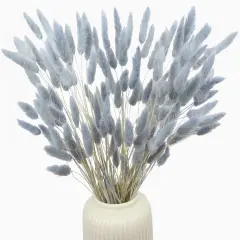 120pcs Dried Bunny Tails Flowers Lagurus Ovatus Tail Dried Flowers Pampas Grass Gray Natural Dried Floral Arrangement