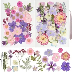50Pcs Dried Pressed Flowers Resin Mould Real Pressed Flowers Natural Dry Leaves Bulk Mixed Colorful Daisy Herbs Kit with Tweezers for Scrapbooking DIY Candle Jewelry Crafts Making Nails(Purple)