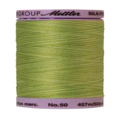 Little Spouts (9085-9817) | Silk-Finish Cotton Multi 50wt (457M / 500Y) | Mettler Thread