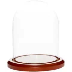 Plymor 4.5" x 6" Glass Display Dome Cloche Walnut MDF