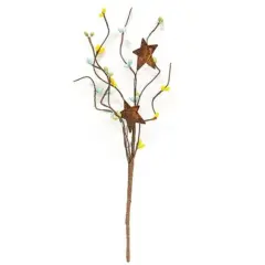 Mix Pip Berries & Star Pick Spring Mix