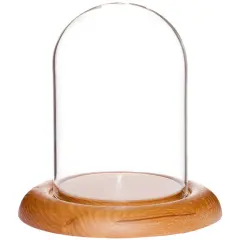 Plymor 3" x 4" Glass Display Dome Cloche Oak
