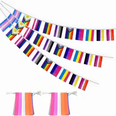 2 Set All Pride Rainbow Gay Flags Banner String Bunting LGBTQ Decoration,64 Feet 60 Pcs