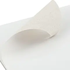 artPOP! Canvas Pad, 9" x 12", 10 Sheets, Cotton Blend, 8 oz, Acrylic Primed, Glue-Bound Canvas Paper for Oil, Acrylic, Mixed Media, Perfect for Students and Artists