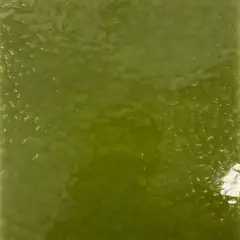 Wissmach KHAKI English Muffle Stained Glass Sheet &ndash; Vintage Ripple Textured Art Glass for Mosaics, Panels, Lamps & DIY Crafts | Hand-selected by The Little Flowers